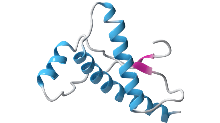 PRION PROTEIN